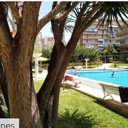 Apartamento Entero En La Playa San Juan Benacantil Alicante Exteriér fotografie